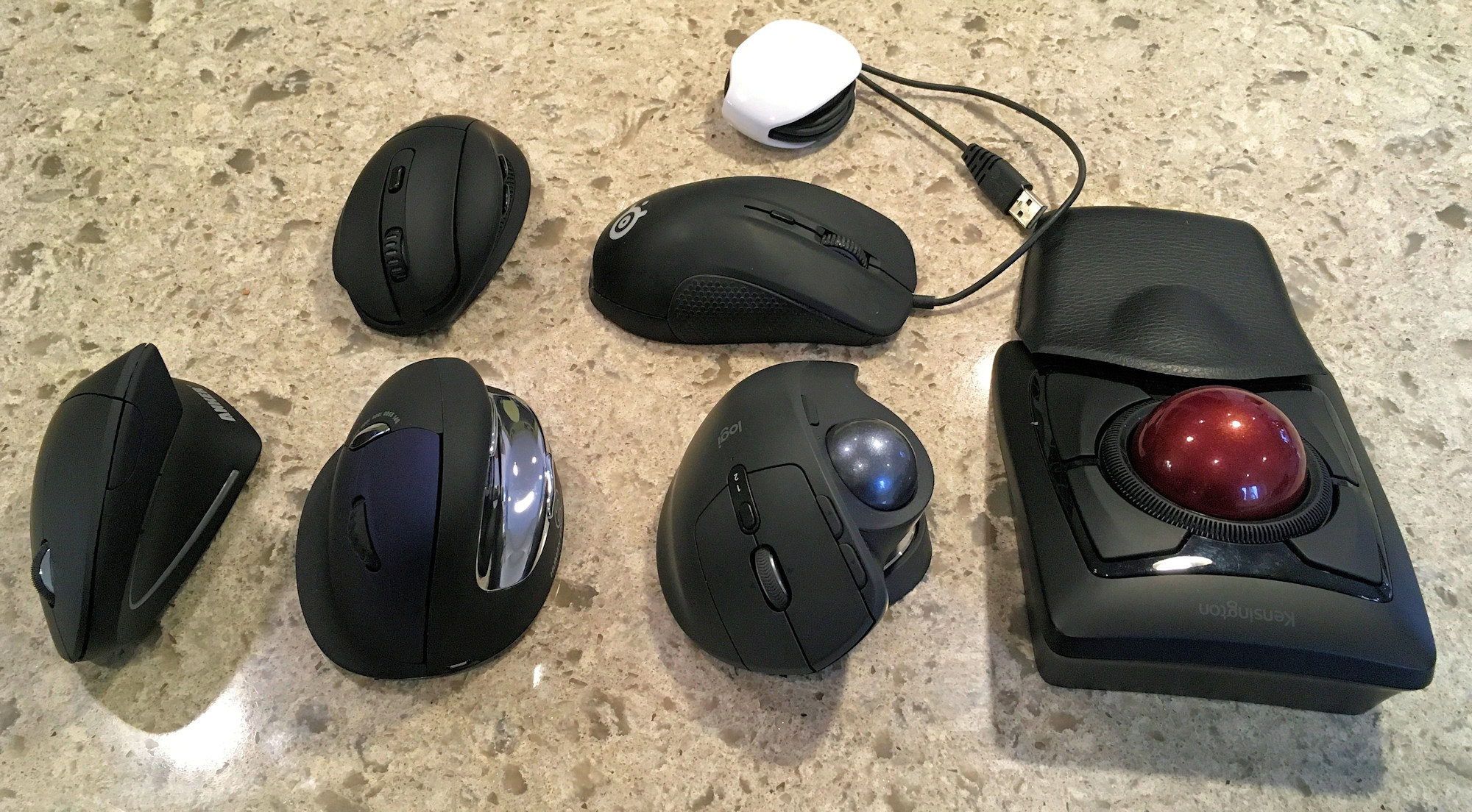 All the mice tested