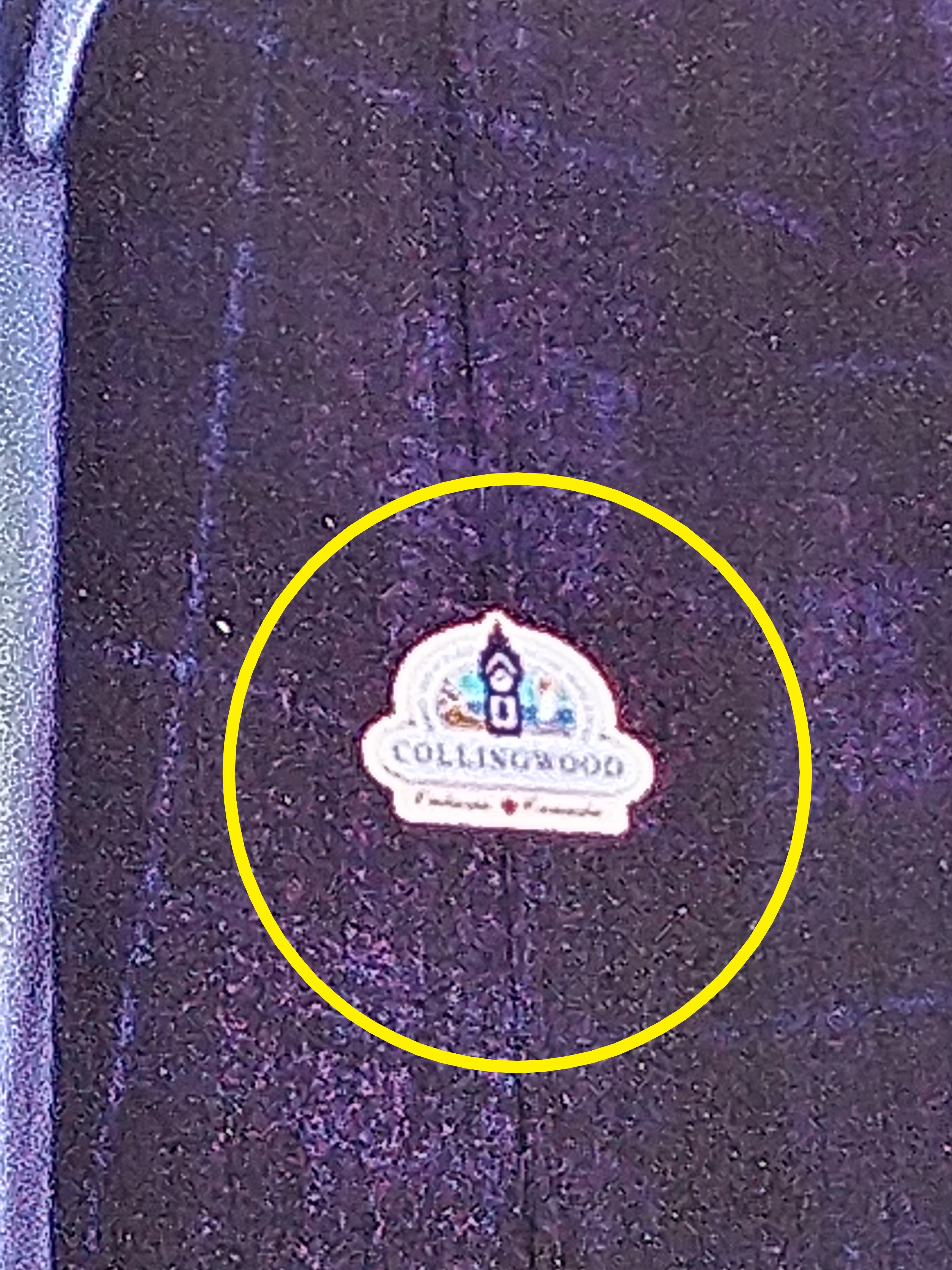 Closeup of Madigan sign with town logo