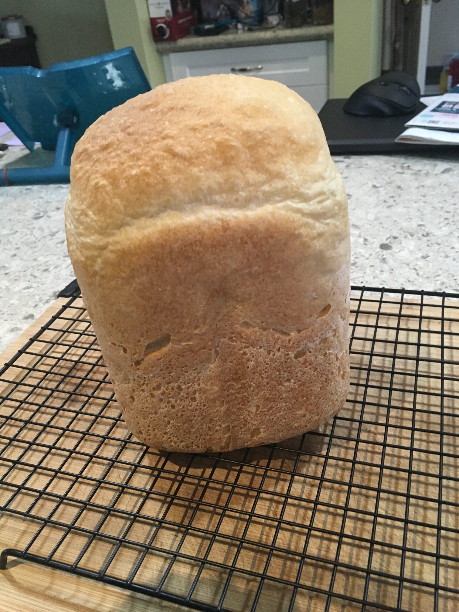 Basic white bread loaf