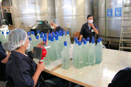 Applying labels and sealing bottles at Agave Tequilana