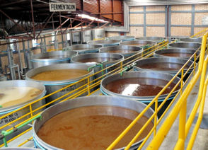 Fermentation tanks at La Cofradia