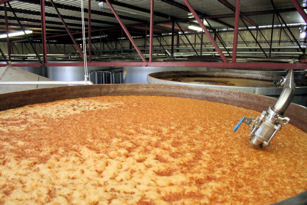 fermentation tanks at El Agave