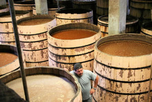 Smaller fermentation barrels at La Alteña