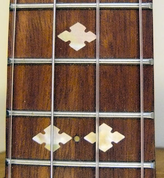 Beansprout fretboard with stickers