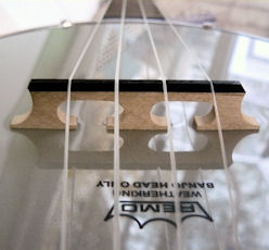 Gold Tone bridge