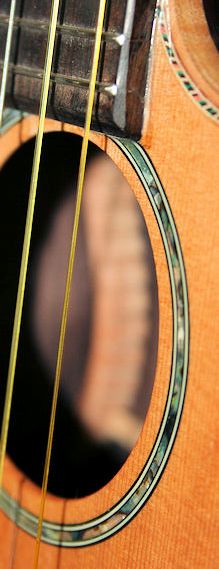 Pono details